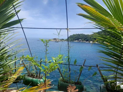 Hin Wong Apartments Dive & Snorkel Resort – Photos 5